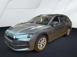 Grau Gebraucht 2024 Skoda Octavia Limousine | 30.980 € (Fairer Preis)