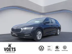 Schwarz Gebraucht 2021 Skoda Octavia Ambition Kombi | 18.988 € (Guter Preis)