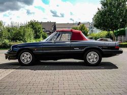 Schwarz Gebraucht 1988 Alfa Romeo Spider Cabrio | 8.750 €