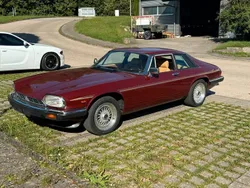 Braun Gebraucht 1985 Jaguar XJS | 9.990 €
