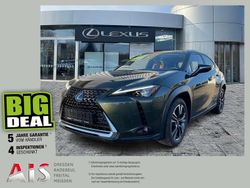 Terrane khaki Gebraucht 2021 Lexus UX 250h Luxury Line SUV | 32.330 € (Teuer)