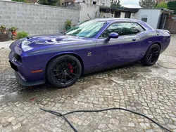 Violet Gebraucht 2019 Dodge Challenger Coupé | 43.500 € (Teuer)