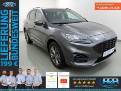 Grau Gebraucht 2024 Ford Kuga ST-Line X SUV | 30.880 € (Superpreis)