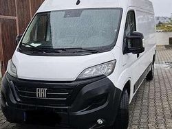 Weiß Gebraucht 2021 Fiat Ducato Van | 22.999 € (Superpreis)