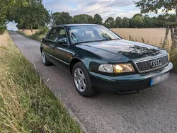 Grün Gebraucht 1998 Audi A8 Limousine | 2.500 € (Etwas zu teuer)