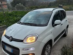 Weiß Gebraucht 2016 Fiat Panda Kleinwagen | 8.500 €