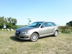 Beige Gebraucht 2010 Audi A3 Limousine | 10.250 € (Teuer)