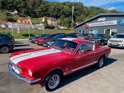 Rot Gebraucht 1965 Ford Mustang Fastback Coupé | 79.990 €