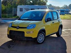 Gelb Gebraucht 2024 Fiat Panda Kleinwagen | 14.490 € (Fairer Preis)