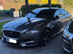 Grau Gebraucht 2016 Jaguar XF R-Sport Limousine | 20.900 € (Fairer Preis)