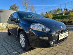 Blau Gebraucht 2016 Fiat Punto Young Kleinwagen | 4.950 € (Fairer Preis)