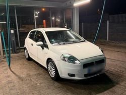 Weiß Gebraucht 2009 Fiat Punto Kleinwagen | 1.700 € (Fairer Preis)