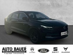 Schwarz Gebraucht 2020 DFSK Fengon SUV | 14.990 € (Teuer)