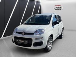 Weiß Gebraucht 2020 Fiat Panda Easy Kleinwagen | 8.990 € (Fairer Preis)