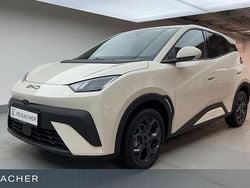 Apricity white Gebraucht 2025 BYD Dolphin Comfort Kleinwagen | 24.990 € (Superpreis)