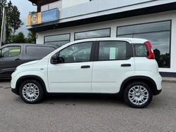 Weiß Gebraucht 2025 Fiat Panda Kleinwagen | 13.990 € (Fairer Preis)