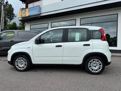 Weiß Neu 2025 Fiat Panda Kleinwagen | 15.390 €