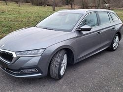Gold Gebraucht 2024 Skoda Octavia Kombi | 27.999 € (Fairer Preis)