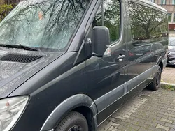Grau Gebraucht 2010 Mercedes Sprinter Van | 8.400 € (Teuer)