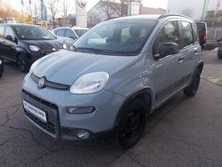 Grau Gebraucht 2020 Fiat Panda Limousine | 8.990 € (Fairer Preis)