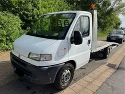Weiß Gebraucht 1998 Fiat Ducato Van | 7.000 € (Etwas zu teuer)