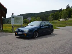 Blau Gebraucht 1991 Renault 19 Limousine | 8.850 €