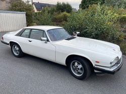 Weiß Gebraucht 1984 Jaguar XJS Coupé | 19.000 €
