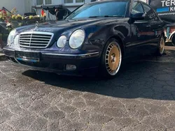 Violet Gebraucht 2001 Mercedes E220 Limousine | 2.990 €