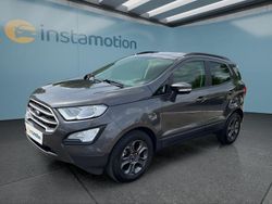 Grau Gebraucht 2019 Ford Ecosport SUV | 14.899 € (Fairer Preis)
