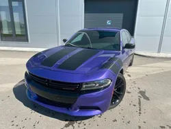 Plum crazy Gebraucht 2019 Dodge Charger Limousine | 25.500 € (Fairer Preis)