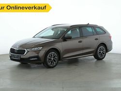 Braun Gebraucht 2021 Skoda Octavia Ambition Kombi | 19.760 € (Superpreis)