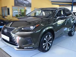 Nori green Gebraucht 2020 Lexus NX300h SUV | 28.880 € (Etwas zu teuer)
