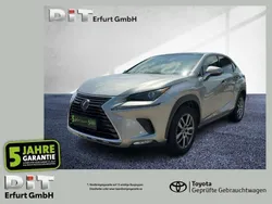 Sonic titanium Gebraucht 2021 Lexus NX300h Executive Line SUV | 31.490 € (Fairer Preis)