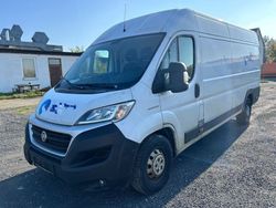 Weiß Gebraucht 2019 Fiat Ducato Van | 5.990 €