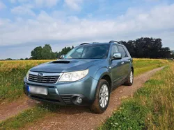 Grün Gebraucht 2010 Subaru Forester SUV | 4.900 € (Etwas zu teuer)