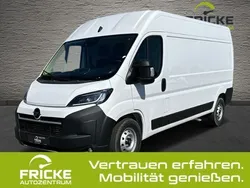 Weiss Neu 2024 Opel Movano Van | 31.940 € (Fairer Preis)