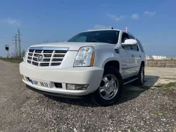 Weiß Gebraucht 2009 Cadillac Escalade SUV | 15.000 €