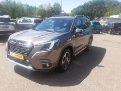 Brilliant bronze (m) Neu 2024 Subaru Forester Platinum SUV | 39.990 € (Fairer Preis)