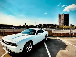 Weiß Gebraucht 2013 Dodge Challenger Coupé | 24.999 € (Fairer Preis)