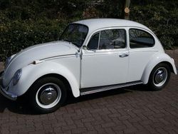 Weiß Gebraucht 1967 VW Käfer Limousine | 16.500 €