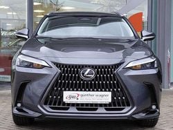 Sonic grey Gebraucht 2025 Lexus NX350h E-FOUR Executive Line SUV | 49.980 € (Guter Preis)