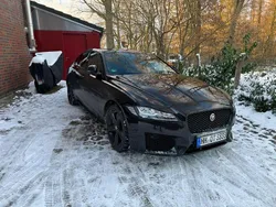 Schwarz Gebraucht 2019 Jaguar XF Chequered Flag Limousine | 22.800 € (Fairer Preis)