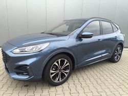 Chroma blau Gebraucht 2023 Ford Kuga ST-Line SUV | 29.895 € (Etwas zu teuer)