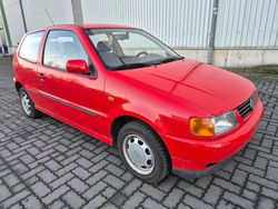Rot Gebraucht 1998 VW Polo Kleinwagen | 1.699 € (Etwas zu teuer)