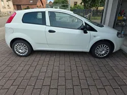 Weiß Gebraucht 2011 Fiat Punto Pop Kleinwagen | 3.455 € (Fairer Preis)