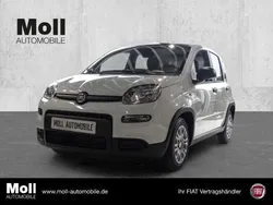 Weiß Neu 2025 Fiat Panda Kleinwagen | 13.975 €