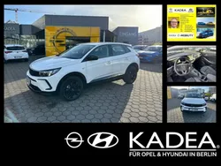 Weiß Gebraucht 2024 Opel Grandland X Elegance SUV | 38.900 € (Teuer)