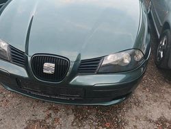 Grün Gebraucht 2002 Seat Ibiza Kleinwagen | 1.500 € (Etwas zu teuer)