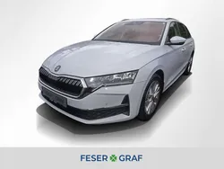 Moon weiss perleffekt Gebraucht 2024 Skoda Octavia Selection Kombi | 30.740 € (Fairer Preis)