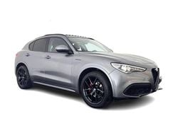 Grau Gebraucht 2020 Alfa Romeo Stelvio Business SUV | 21.945 € (Etwas zu teuer)